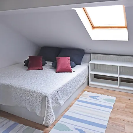 Salvus Apartma *