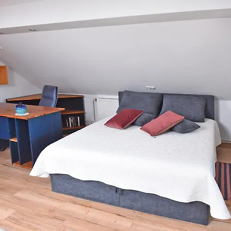 Apartment Salvus Apartma *