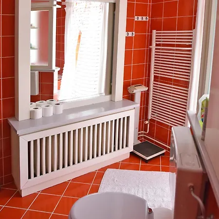 Salvus Apartma Apartment *